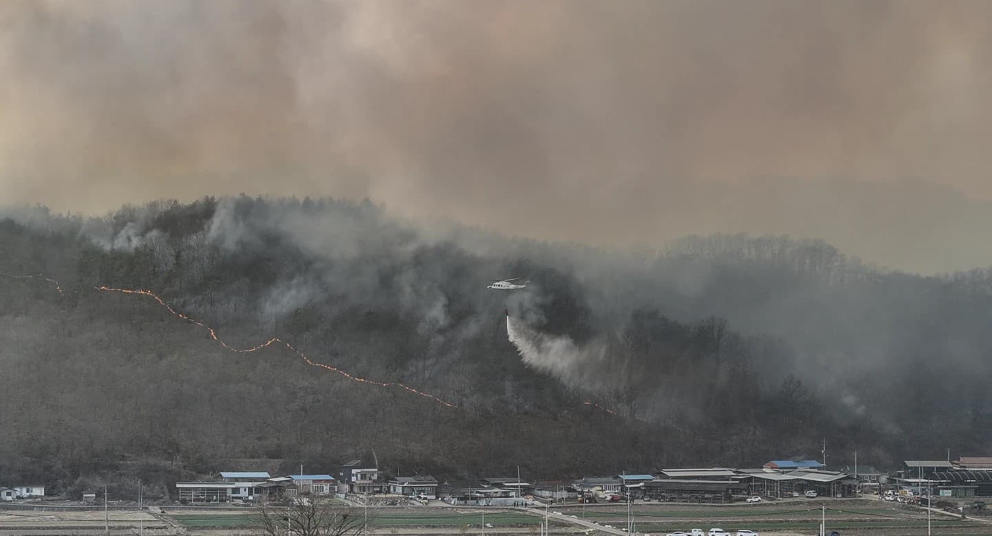 Өмнөд Солонгост ойн түймрийн улмаас дөрвөн хүн амиа алджээ