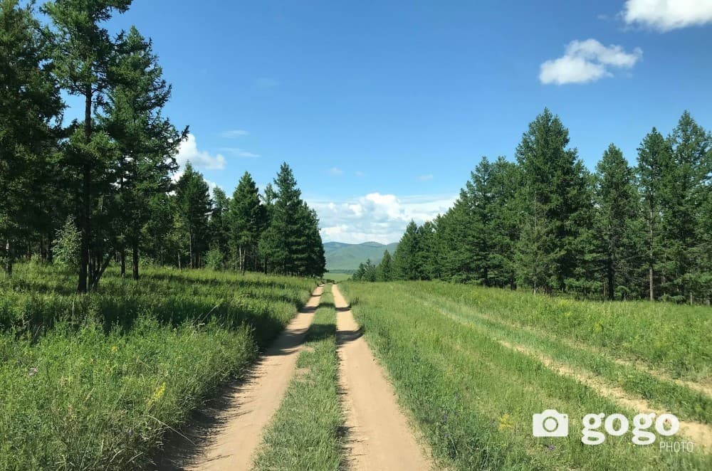 Долоодугаар сард төвийн нутгийн өмнөд хэсэг болон говийн аймгуудын нутгаар бороо хур ихтэй