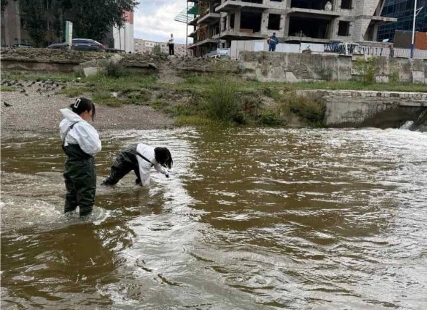 Сэлбэ, Дунд голын ус, голын ойролцоох хөрсний дээжүүдээс ялгадсын гаралтай бохирдол илэрчээ