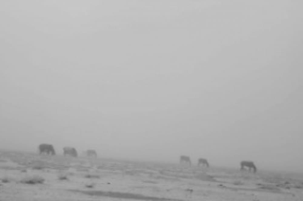 Цаг агаарын гамшигт үзэгдэл боллоо