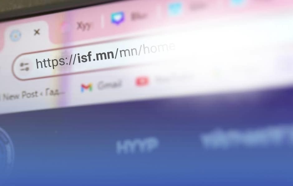 Виз сунгах үйлчилгээг isf.mn системд шилжүүлжээ
