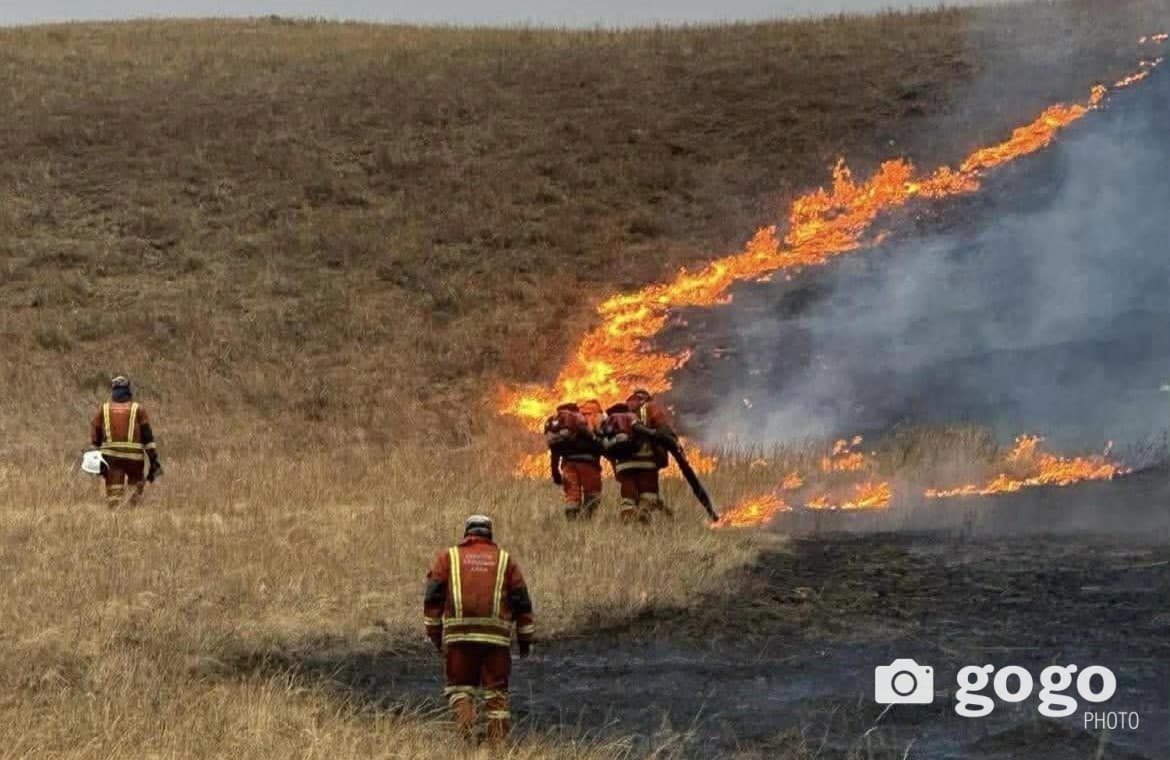 Нөмрөгийн дархан цаазат газарт гарсан түймрийн талаар Хил хамгаалах ерөнхий газраас мэдэгдэл гаргалаа