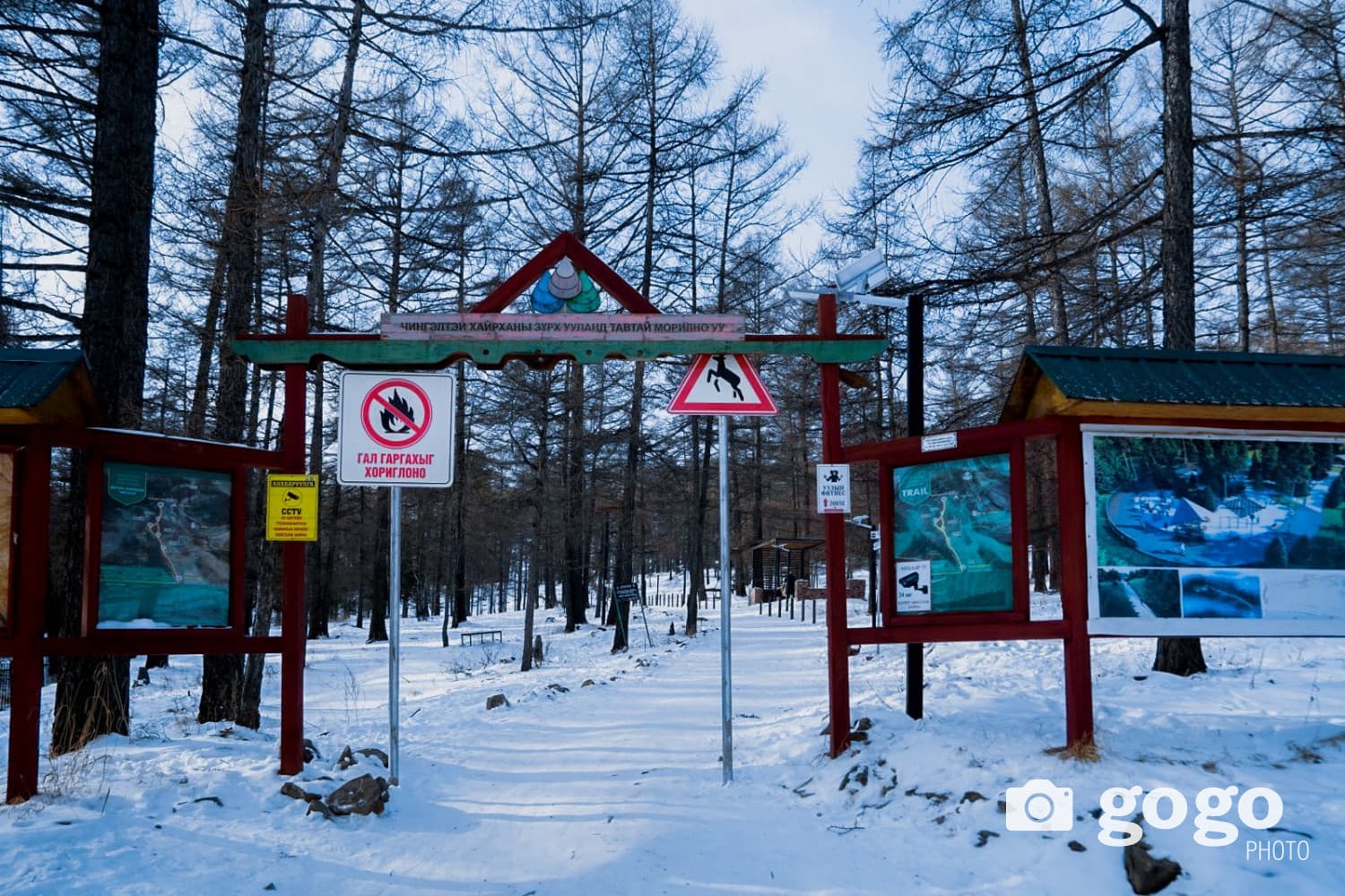 photo