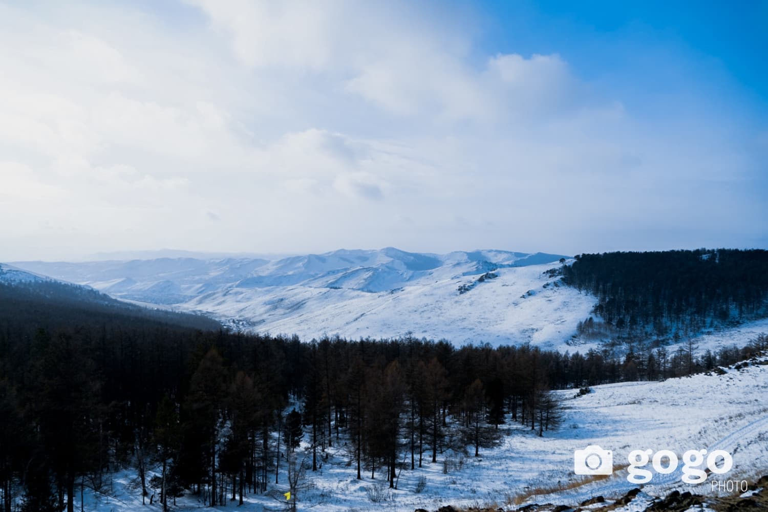 1-р зураг