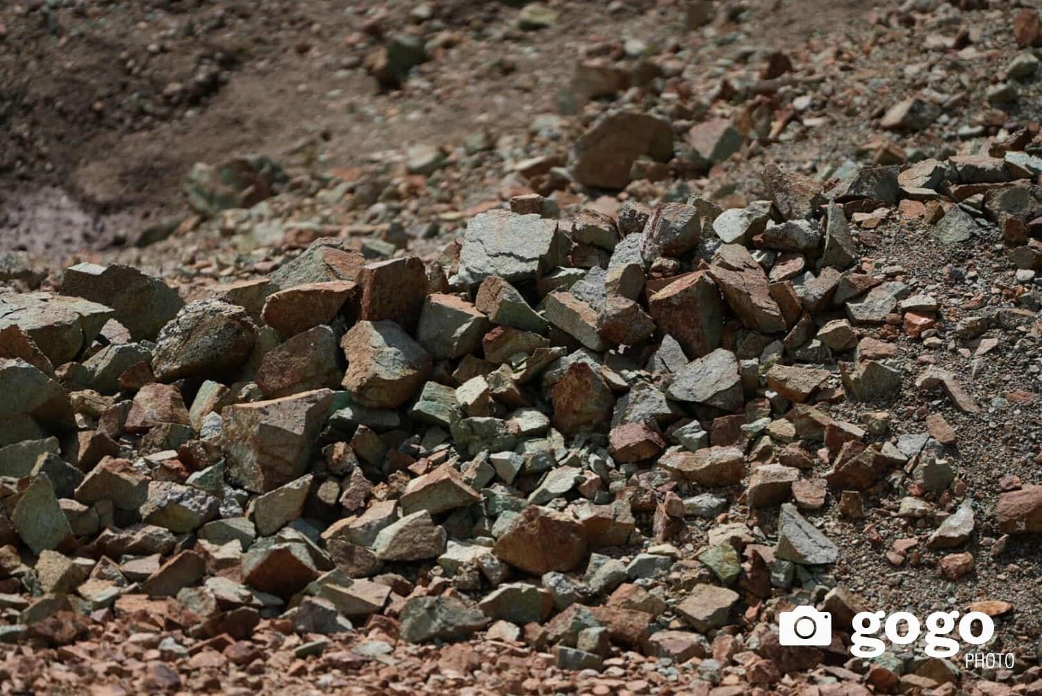 photo